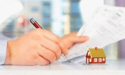 Список на получение земельного участка многодетной семье: каков перечень необходимых документов (в т.ч. электронных), где встать в очередь, выписка из реестра