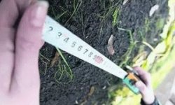 Земельный участок ветеранам боевых действий в 2021 году ? выделение, положен ли, предоставление