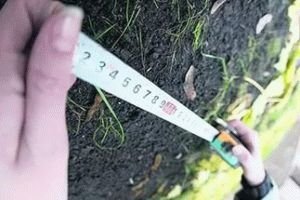 Земельный участок ветеранам боевых действий в 2021 году — выделение, положен ли, предоставление