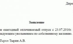 Как правильно оформить отпуск с последующим увольнением либо непосредственно во время отдыха: за сколько дней пишется заявление, как выглядит пример этого документа?