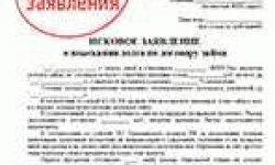 Шапка искового заявления в суд