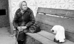 Расторжение договора (отказ от договора) на установку оконных блоков из-за нарушения сроков устранения недостатков