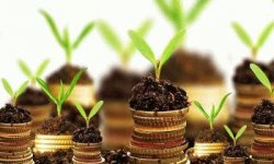 Должны ли пенсионеры платить земельный налог в 2020 году ? за дачный участок, военный