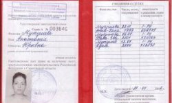 Дали земельный участок как многодетной семье