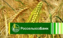 Рефинансирование ипотеки в Россельхозбанке: условия и перечень документов РСХБ для своих и других клиентов, нюансы перекредитования для физических и юридических лиц